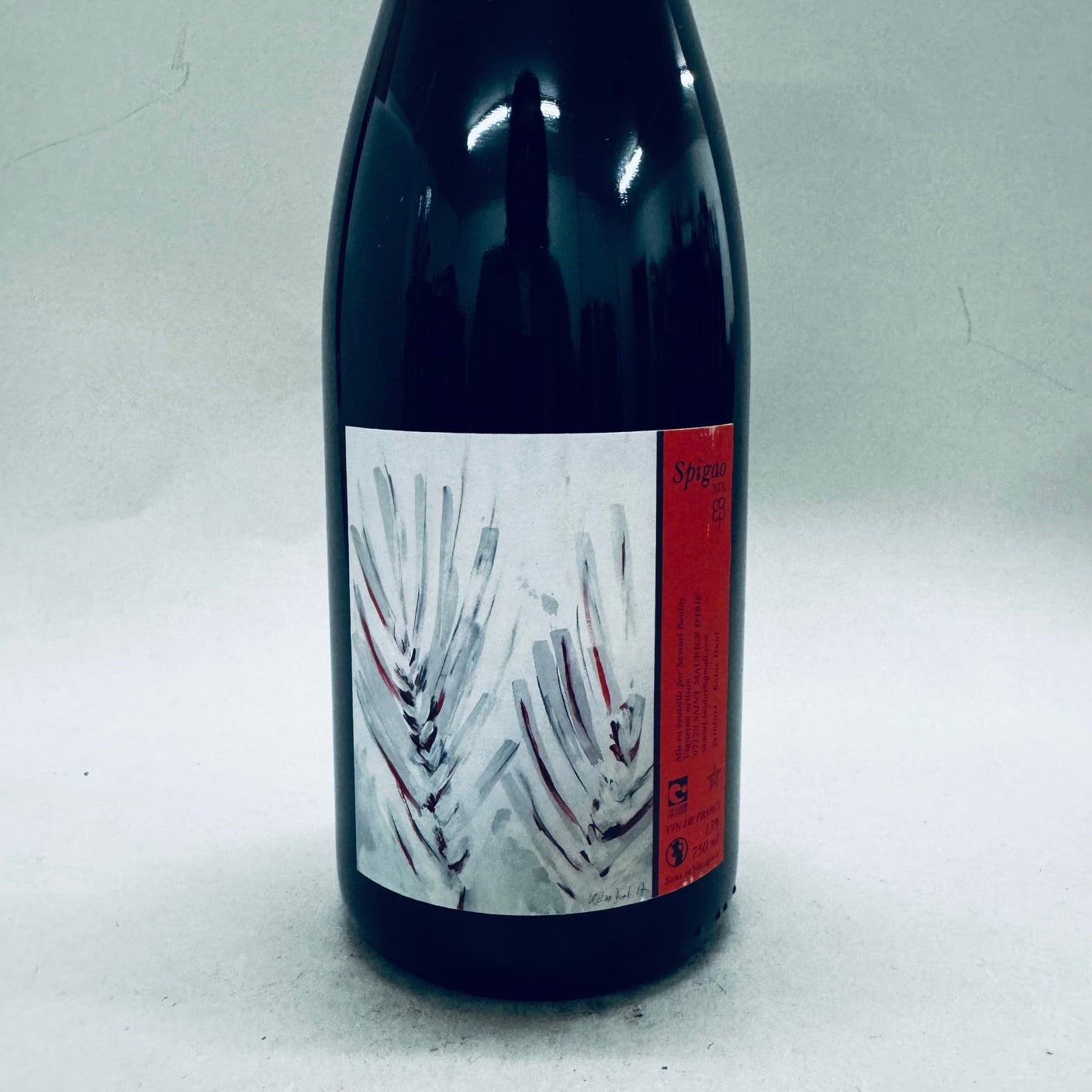 2019 Samuel Boulay Spigao