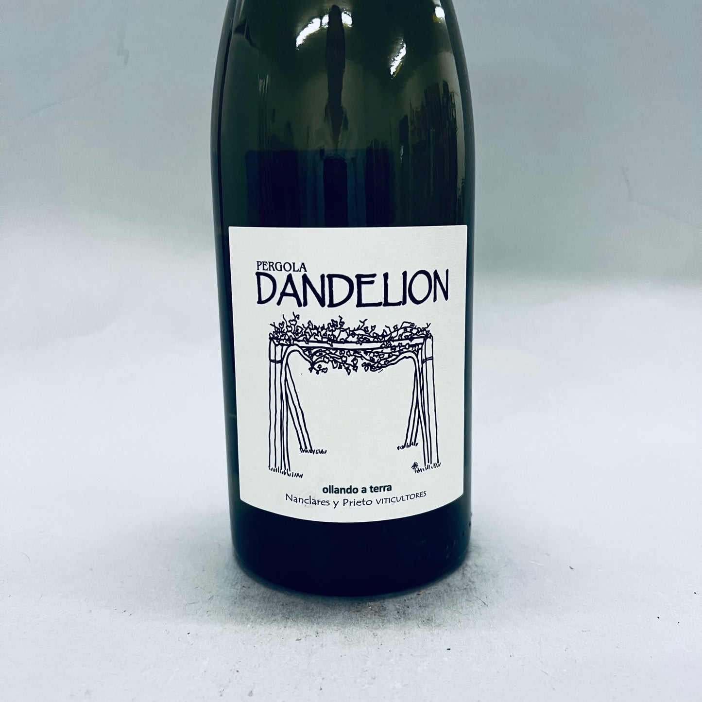 2023 Alberto Nanclares Dandelion Albarino