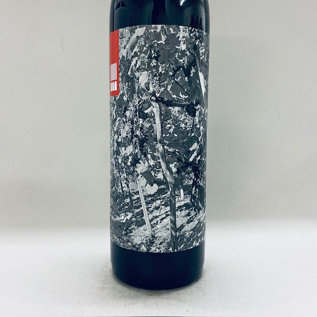 2020 Santuvario Lavigna