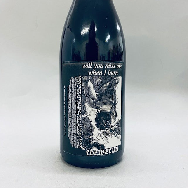 2022 Llewelyn You Will Miss Me When I Burn