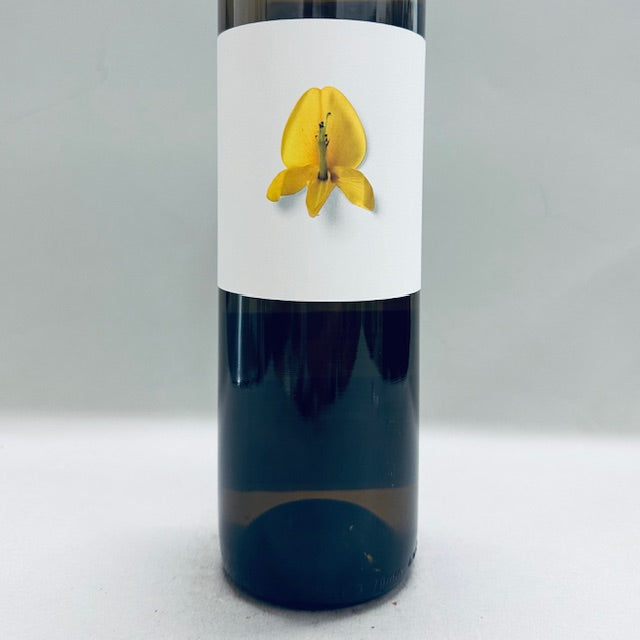 2022 Pedralonga Carolina Blanco