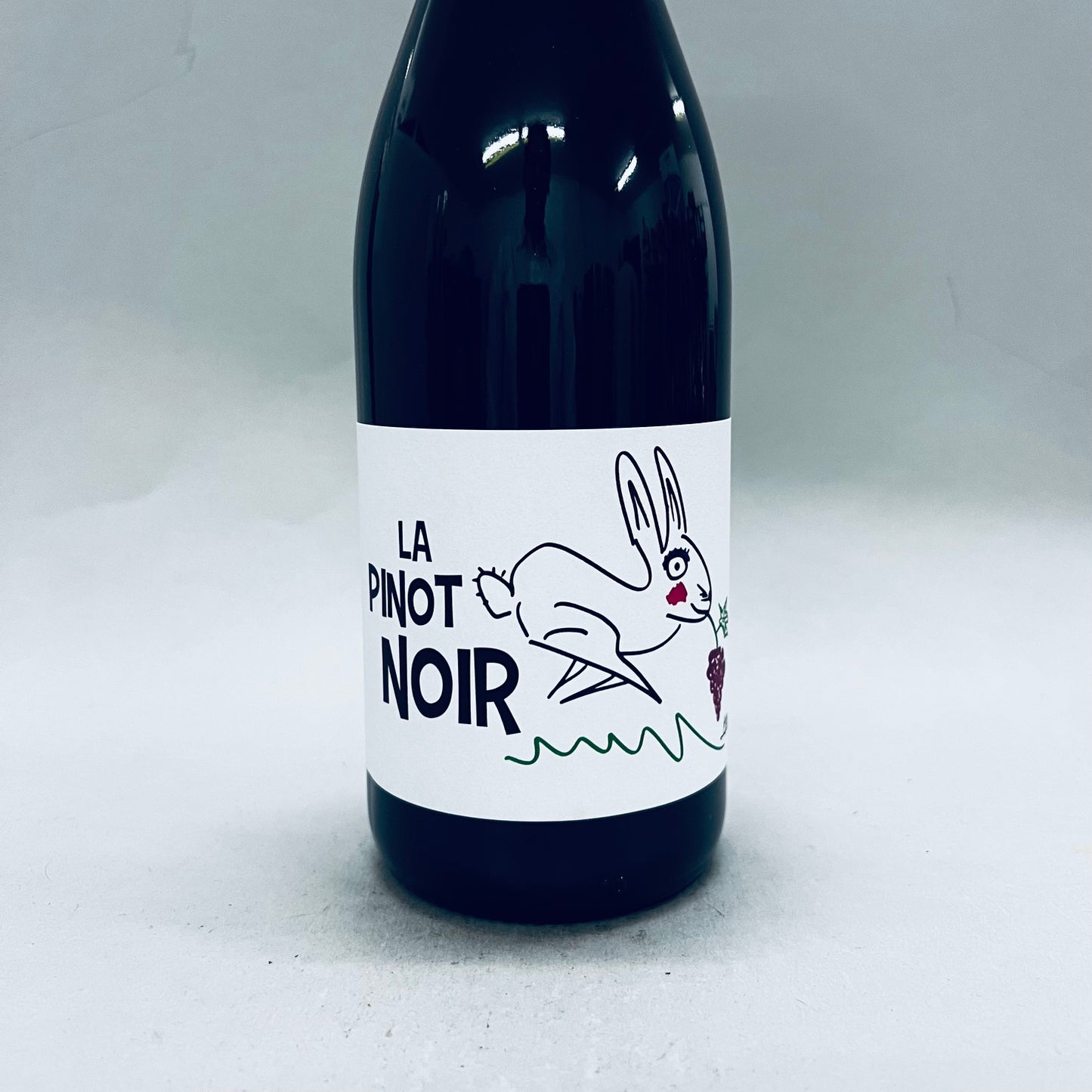 2022 Coujan Pinot Noir
