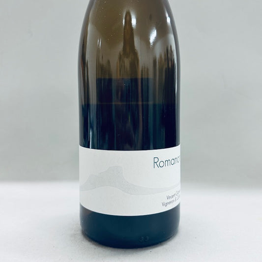 2022 Vincent Gateau Romanon Blanc
