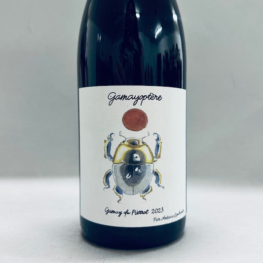 2023 Antione Lienhardt Gamayoptere