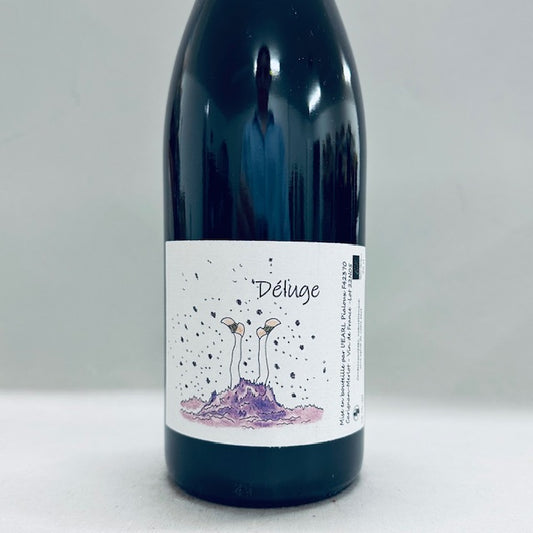 2022 Le Picatier Deluge Carignan