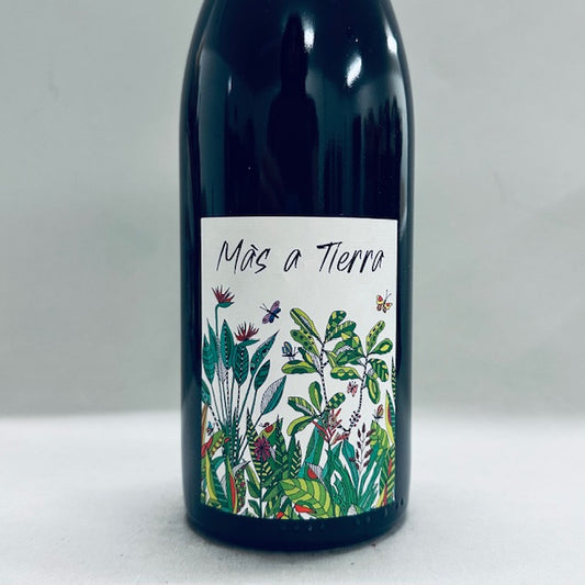2023 Petite Empreinte Coteaux Bourguignons Mas A Tierra